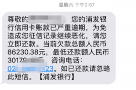 龙马潭融资清欠服务